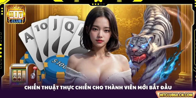Chiến thuật thực chiến cho thành viên mới bắt đầu