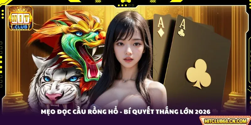 Tổng quan mẹo đọc cầu rồng hổ cho người mới